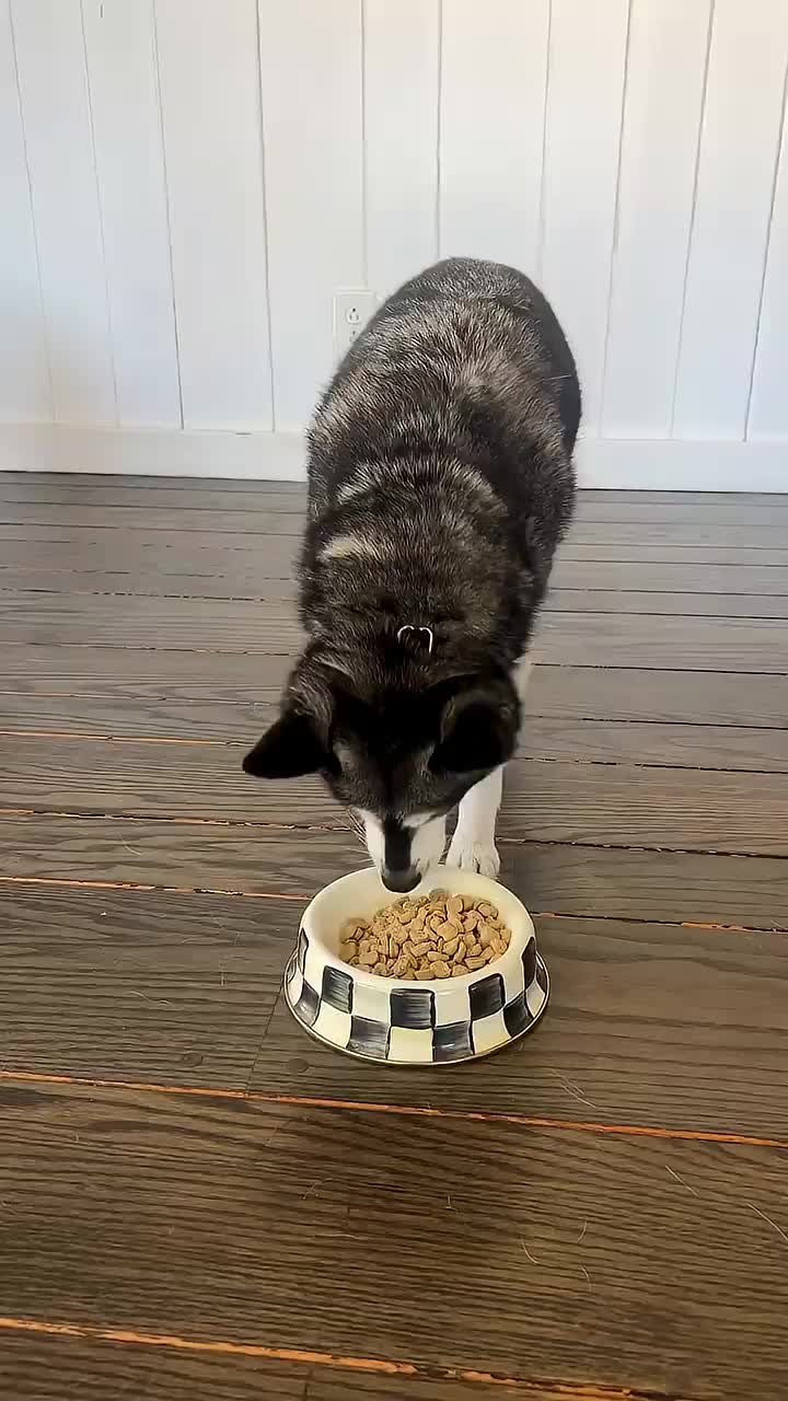 @lifewithkleekai