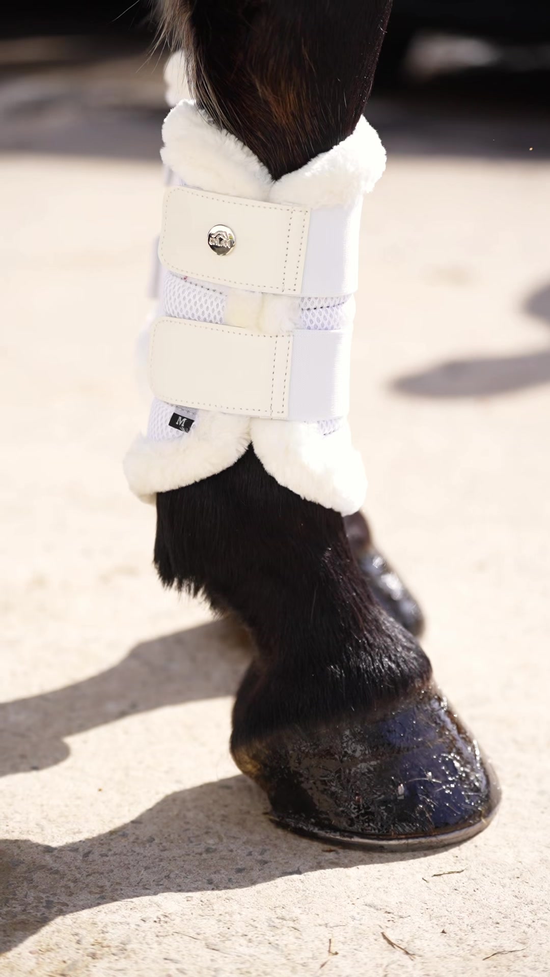 @Uhlan Equestrian