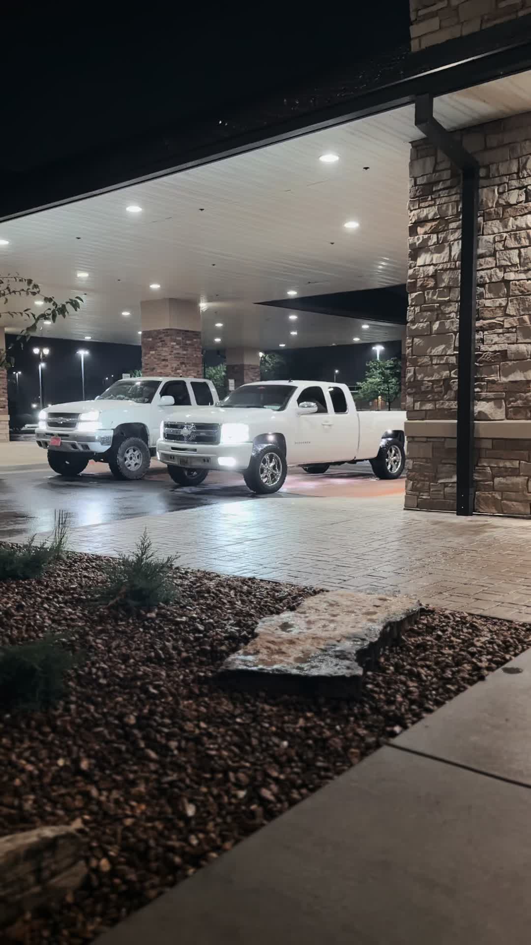 @06_whitecateye