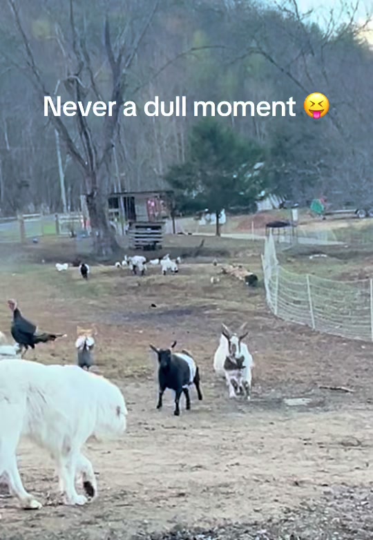 @Sober farmer & nature lover