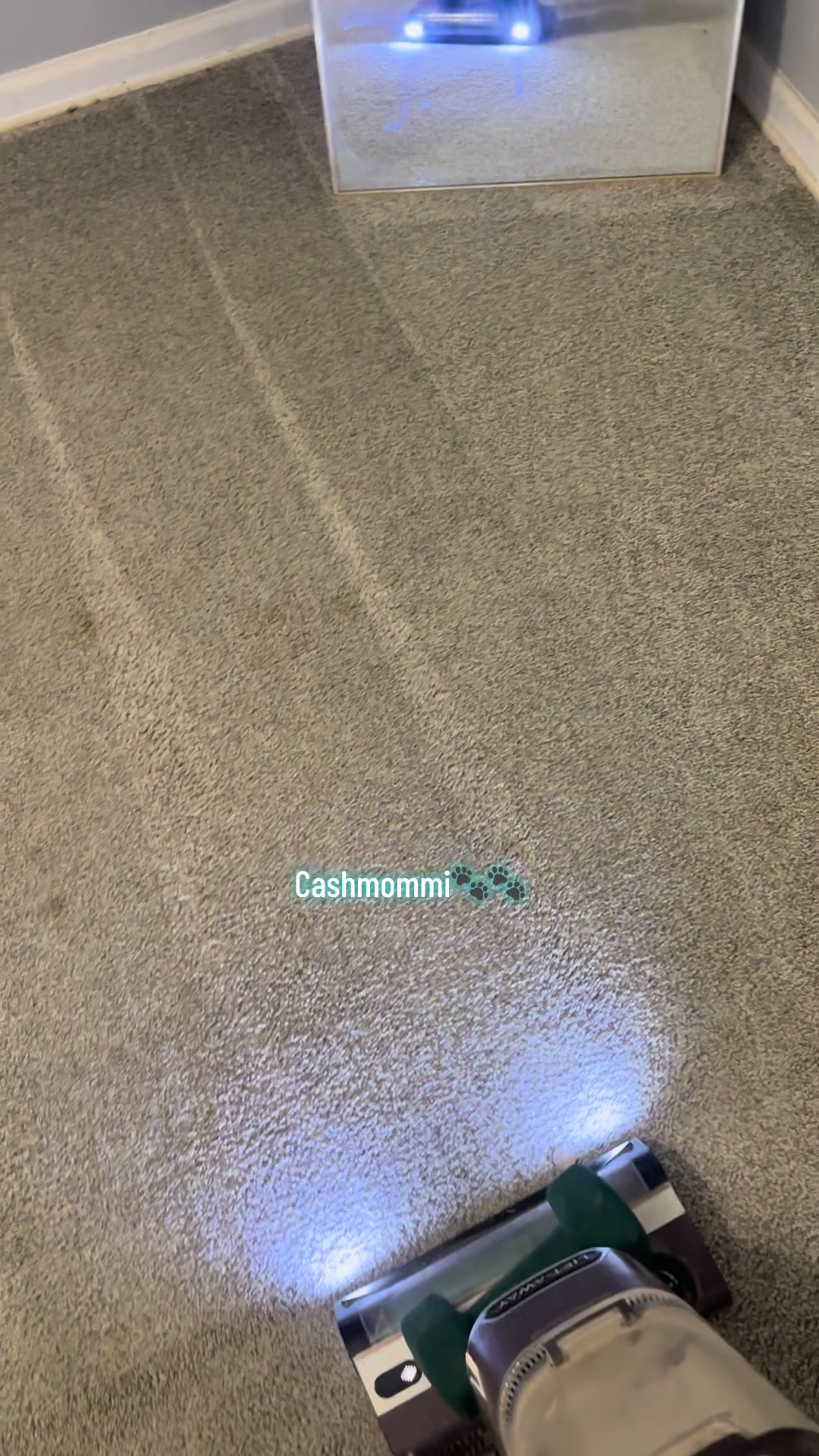 @CashmommiVacs