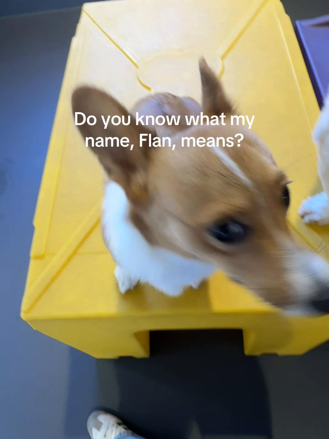 @cinnamoncloud_0