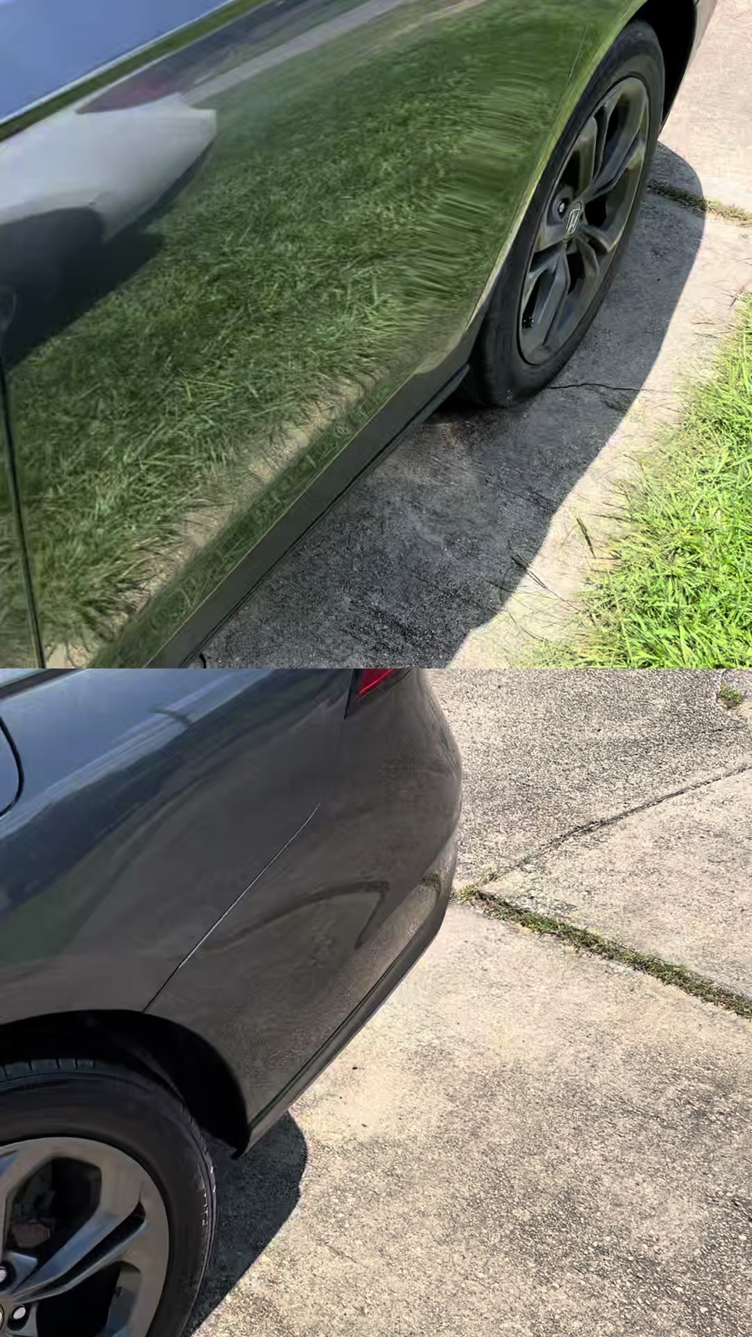 @Fly guy detailing