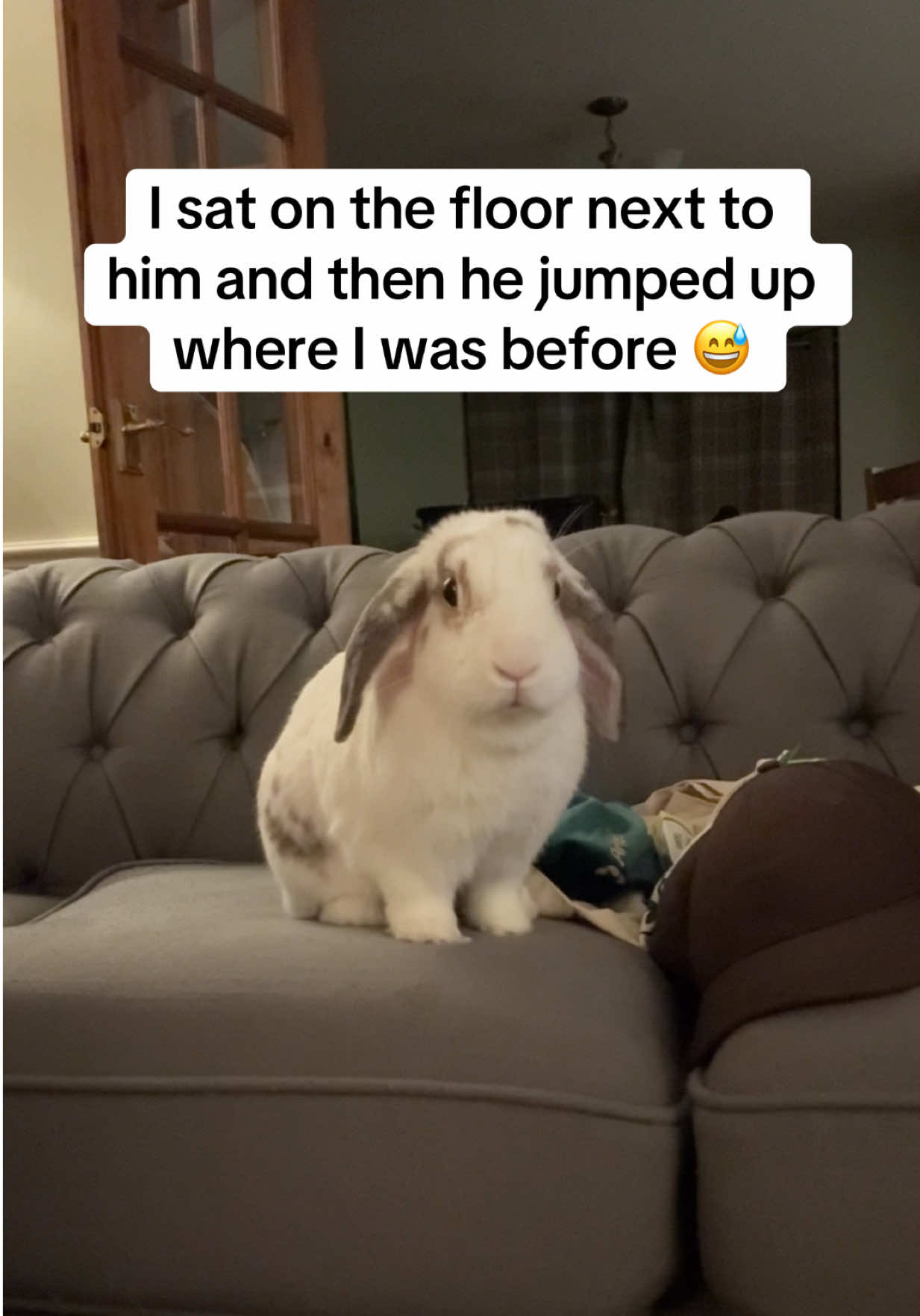 @Bun, two, three, four