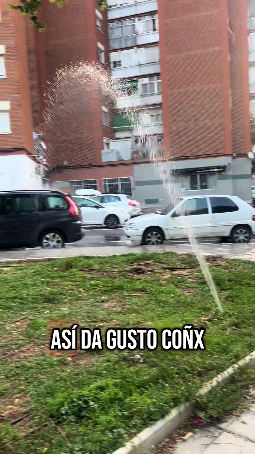 @SoyAmazonier