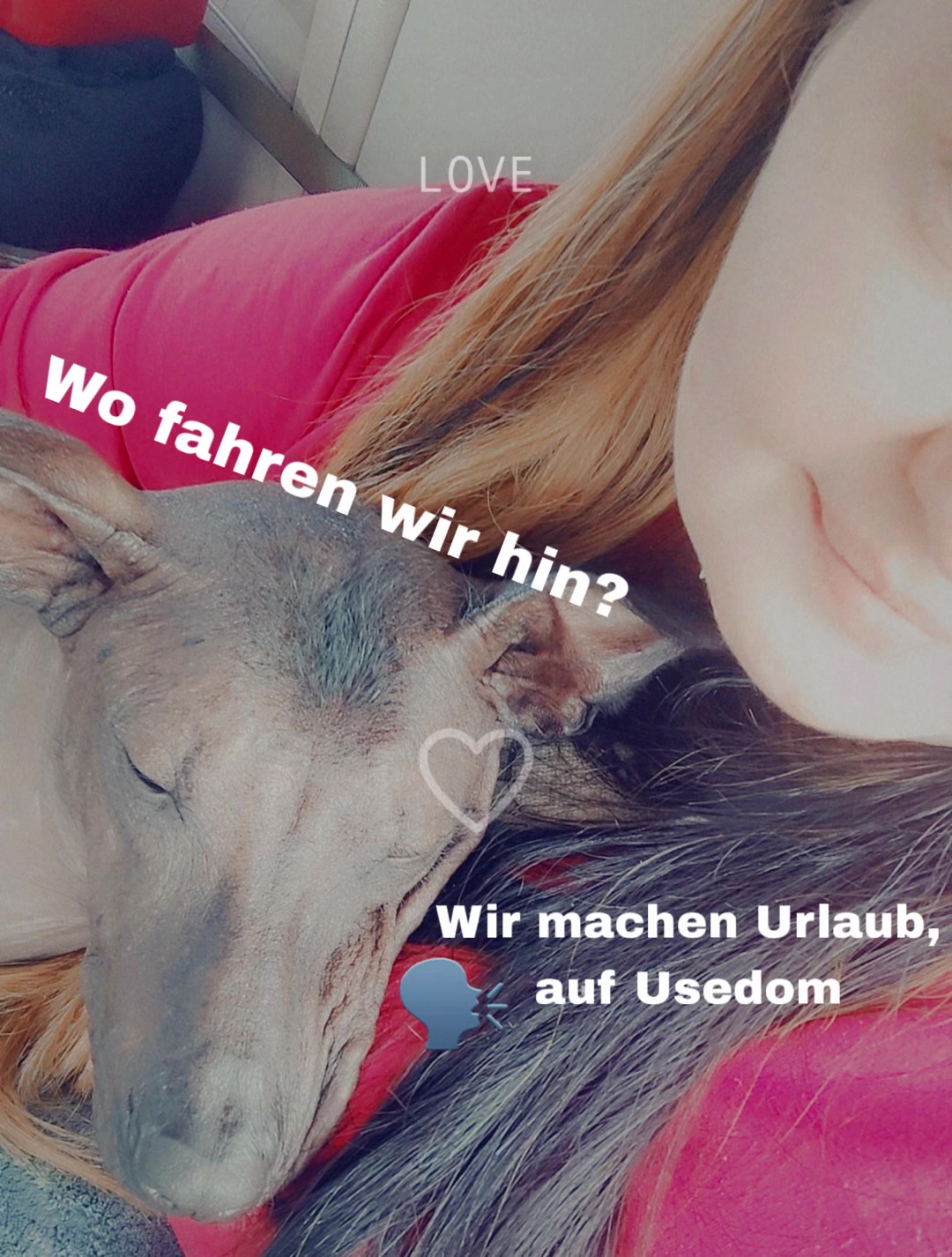 @FrittenfettmitSahne🤌🏻🍟