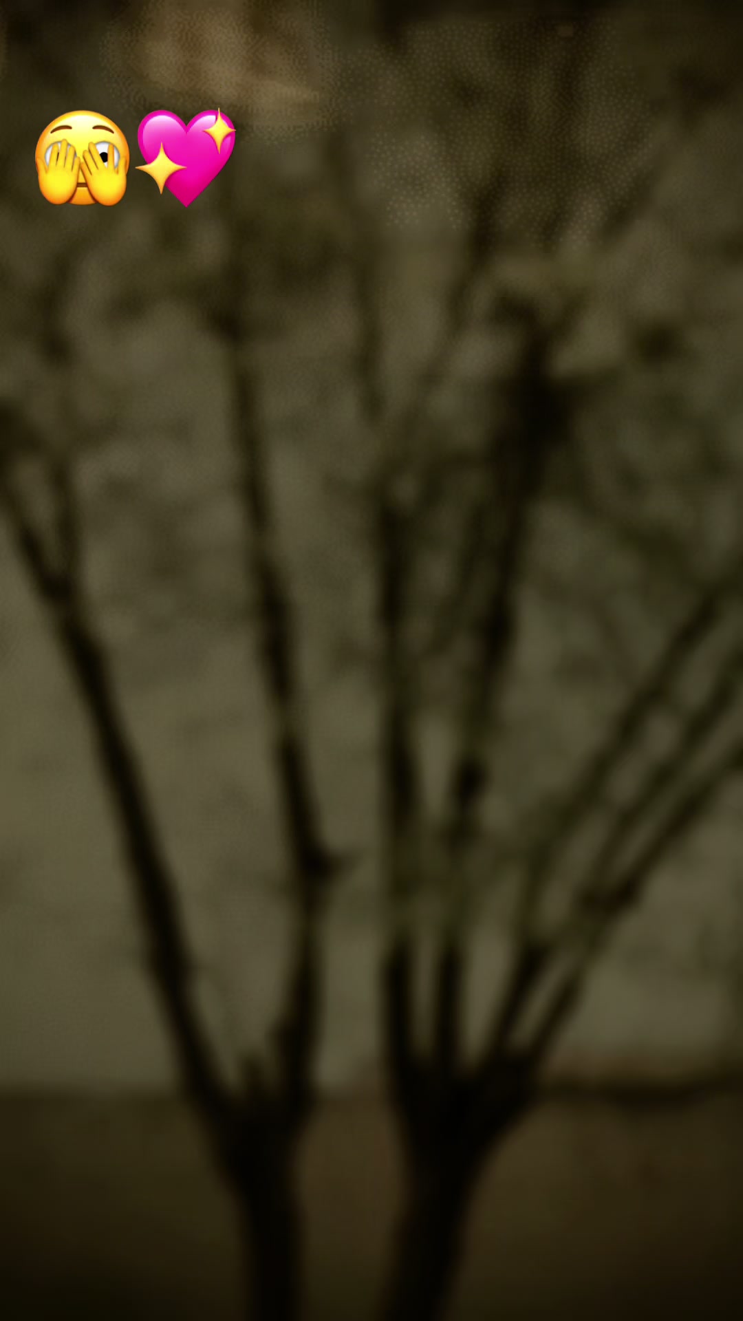 @ð¿ðððððð ð