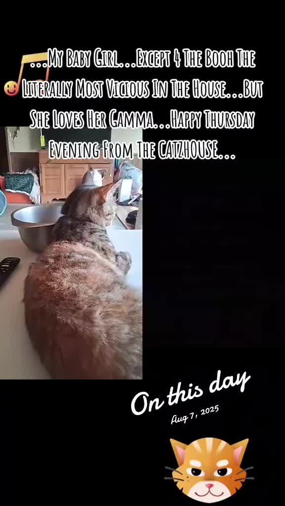 @Booh Hovey crazycatlady3
