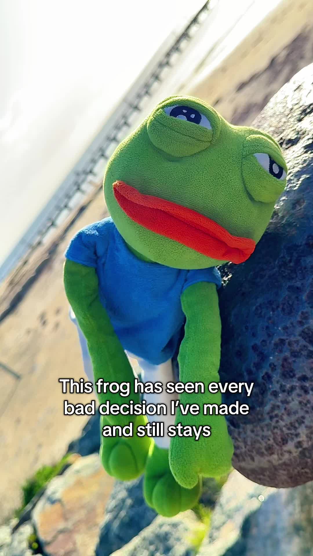 @AdoptAPepe