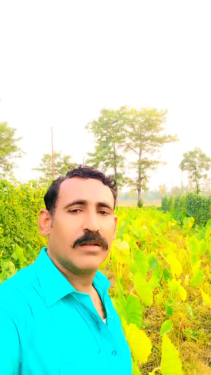 @Muhammad amanullah