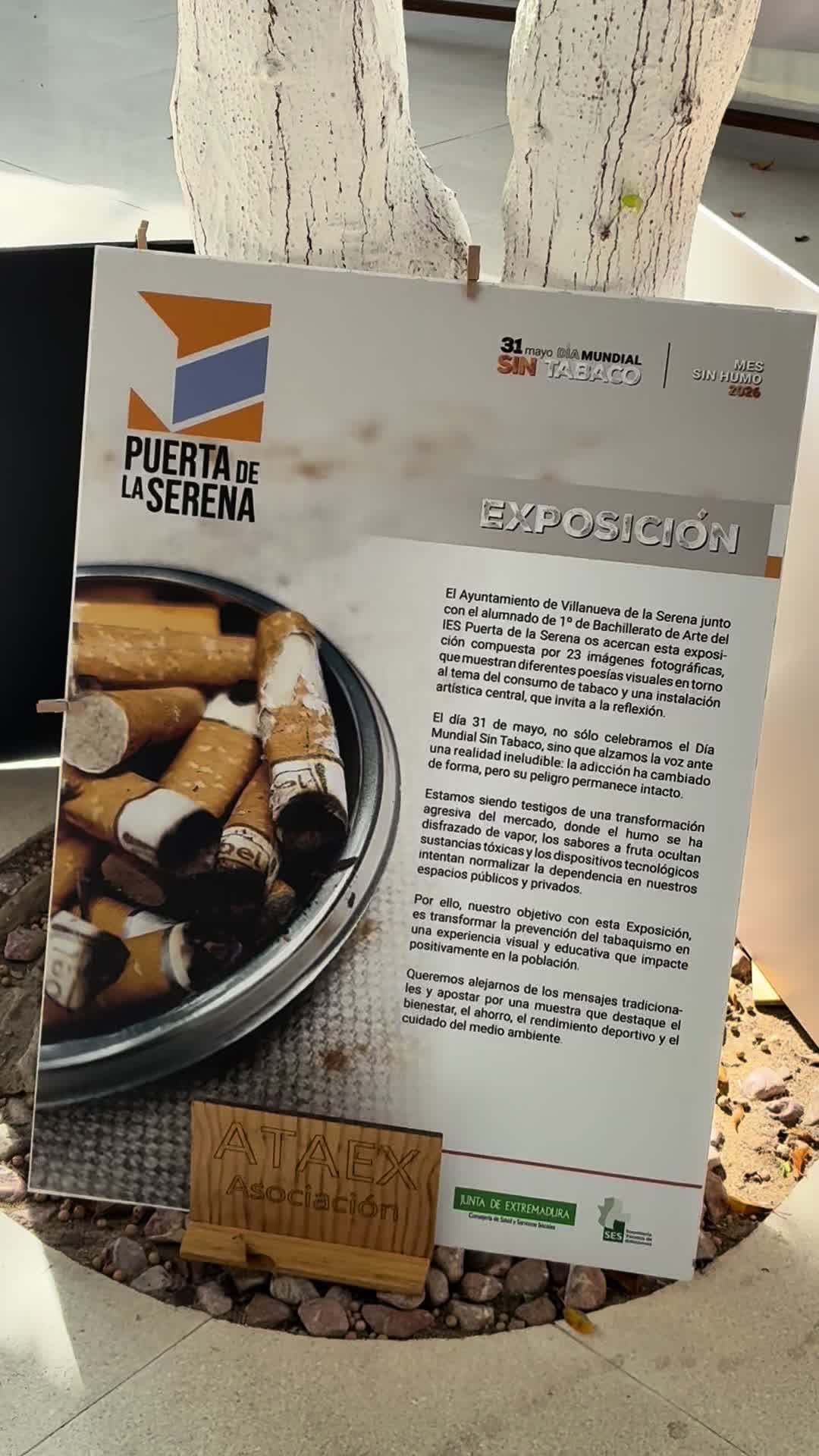 @vivir_libre_tabaco
