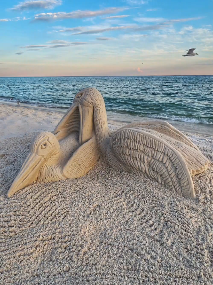 @Sand Castle University
