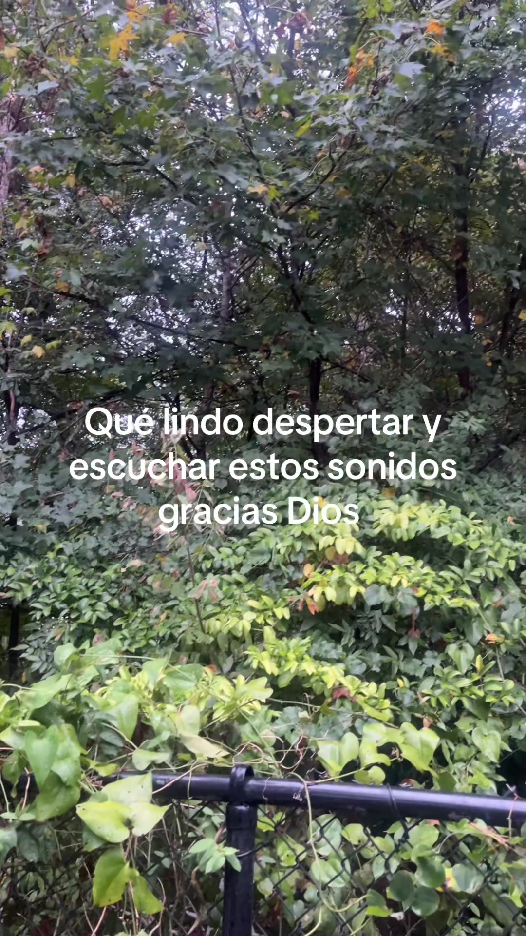 @Dolores Chandilla