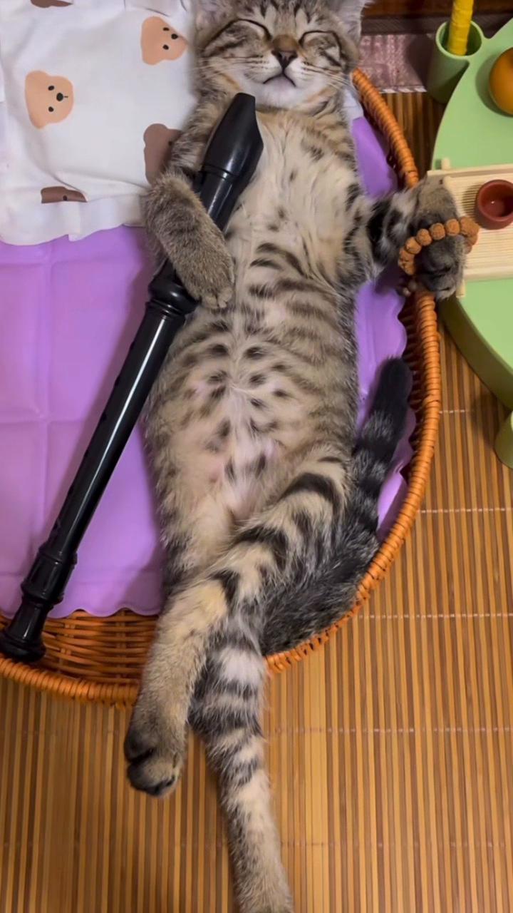 @My Daily Dose of Aww