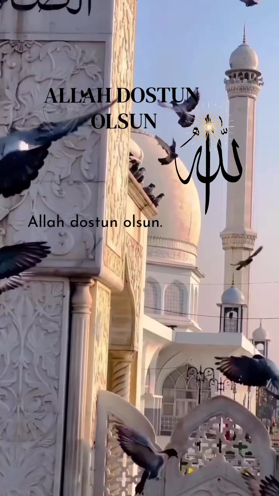 @biryolcu_var