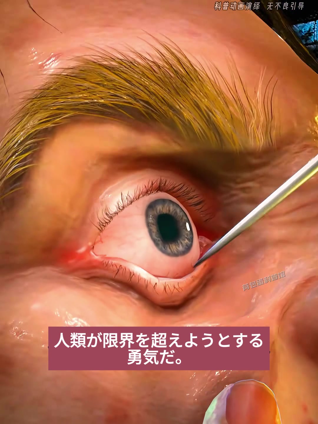 @人体ミステリー研究所