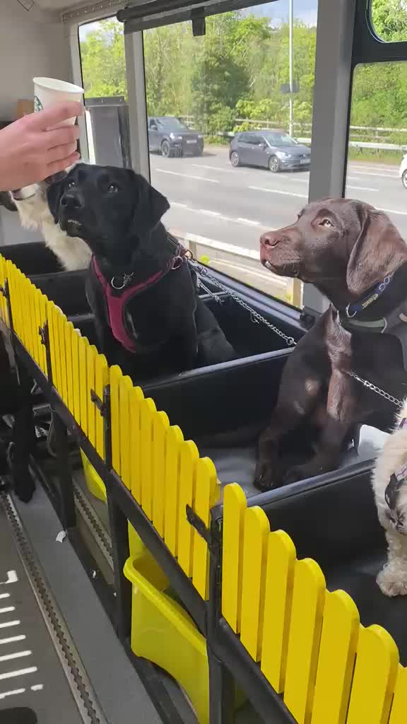 @Billy&rsquo;s Bus