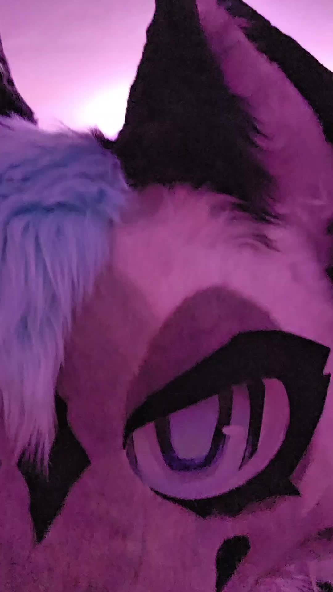 @Maishu Foxx