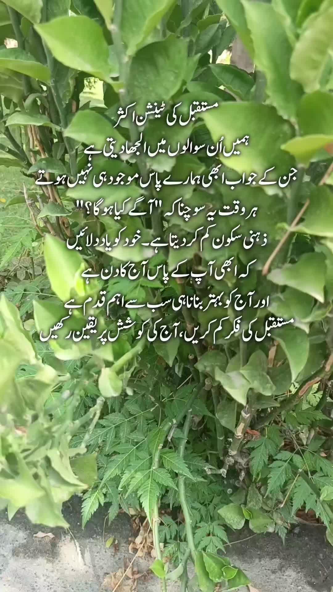 @Kainat Quotes