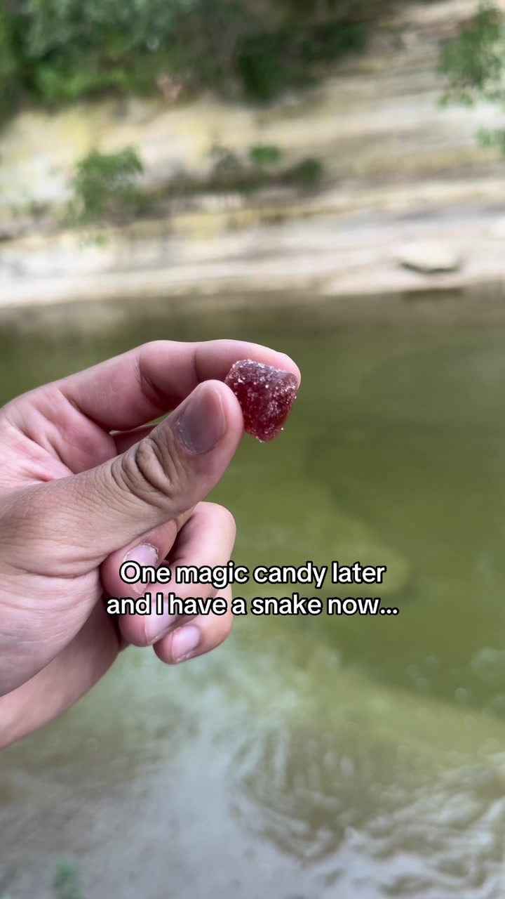 @Mochi