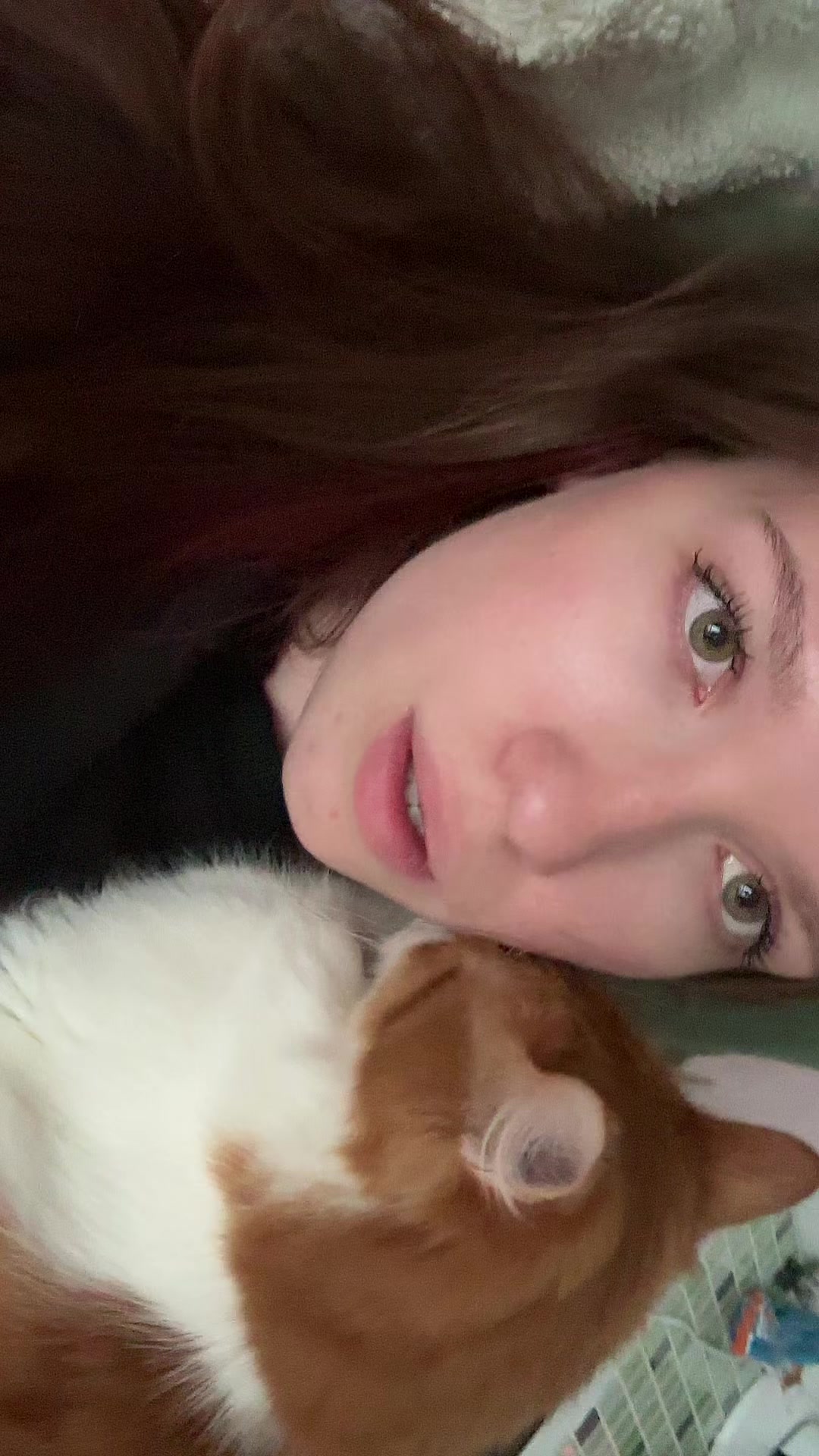 @домовой
