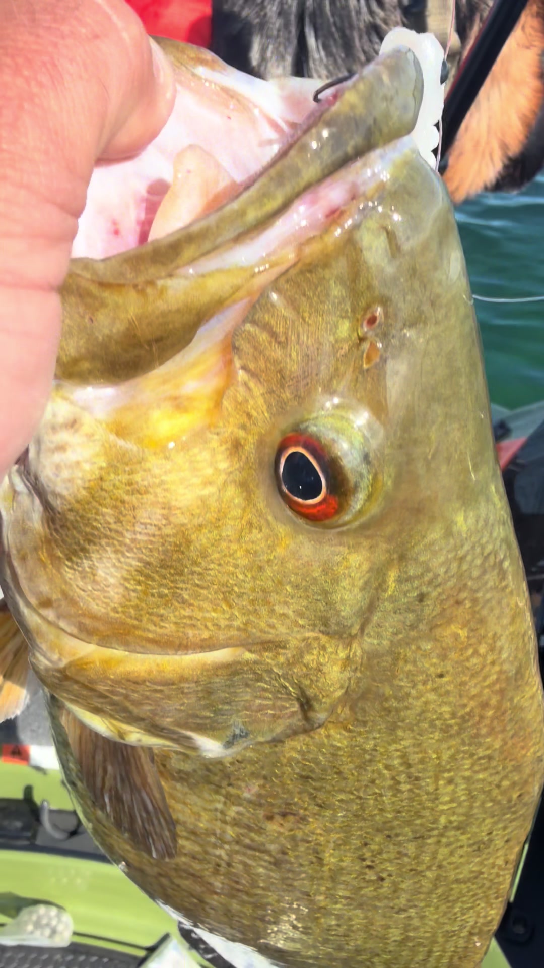 @wildbillfishing