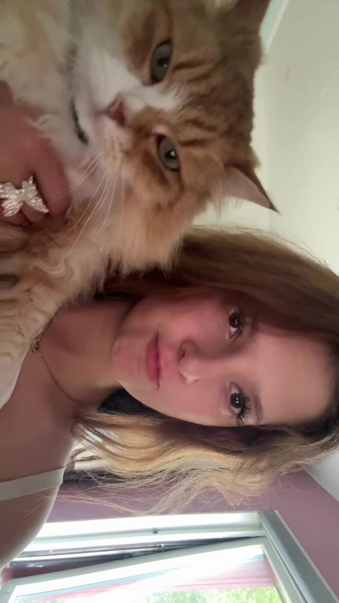 @litespammish