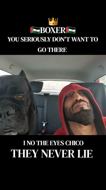 @Boxer
