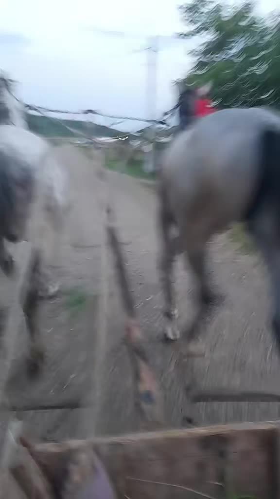 @cosminmocanu