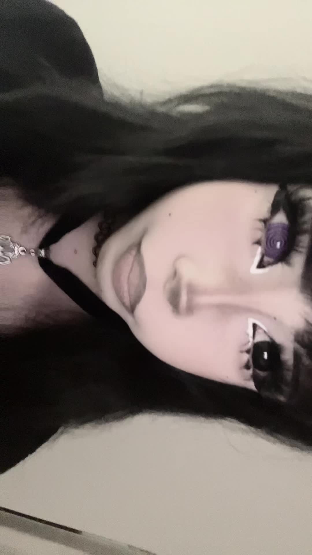@૮₍ ˶•⤙•˶ ₎ა