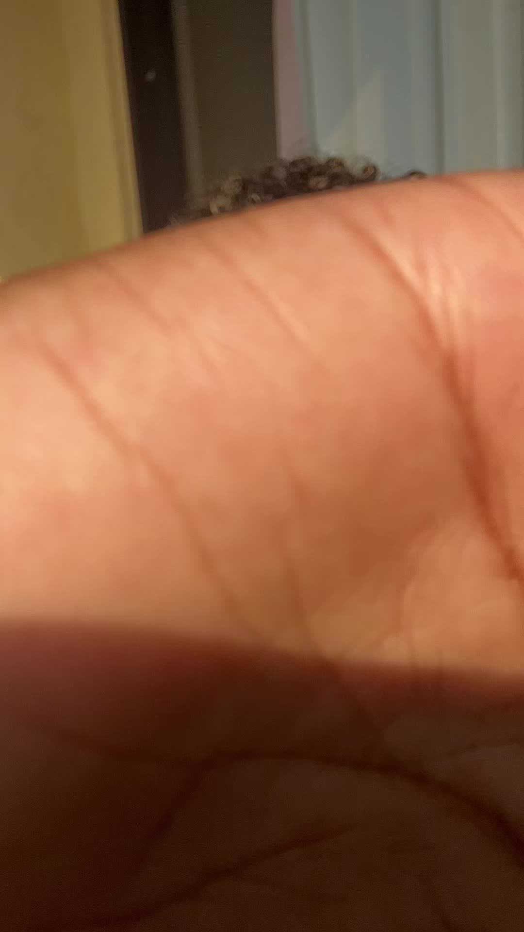 @gracemdaniel23