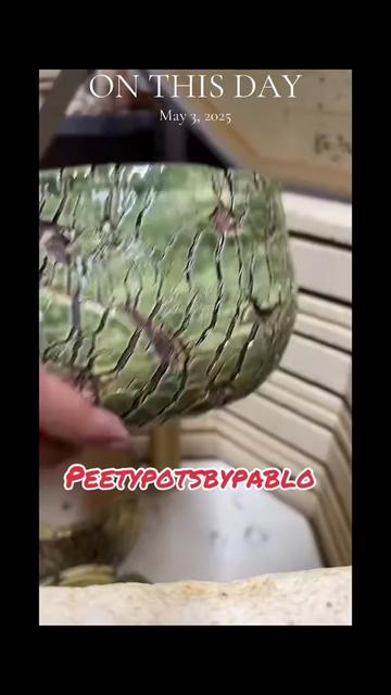 @Pablo L Gonz&aacute;lez