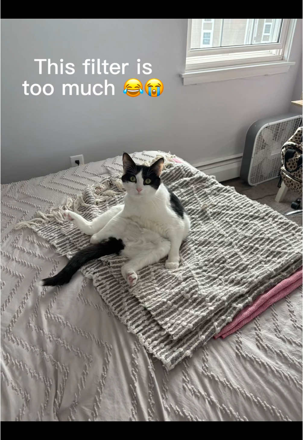@Meg