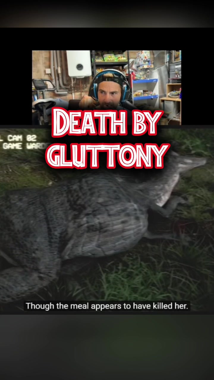 @JurassicJamez