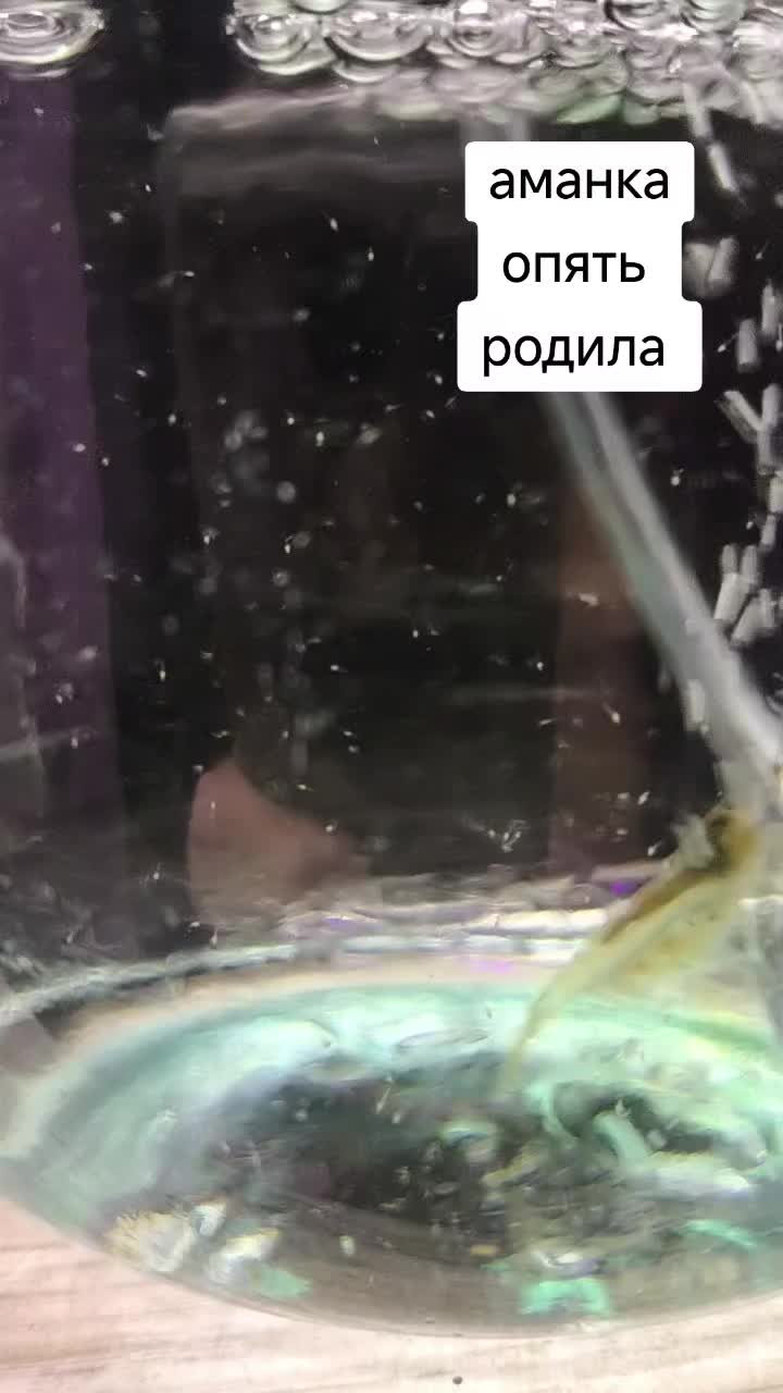@Женя Садовая