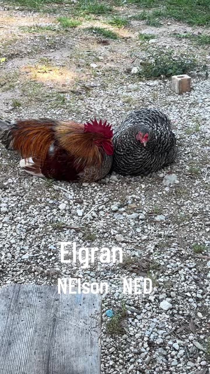 @Azucena Castillo