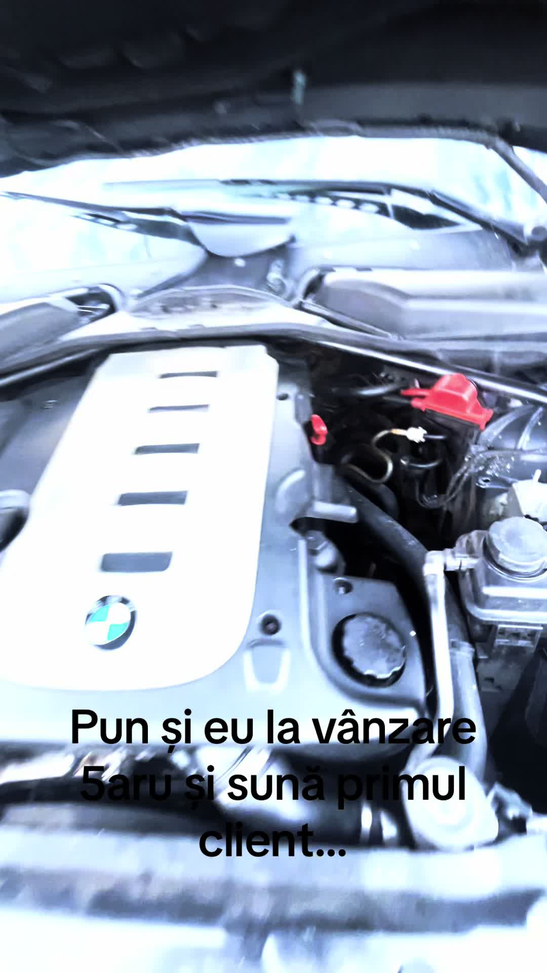 @Razvna95RZV