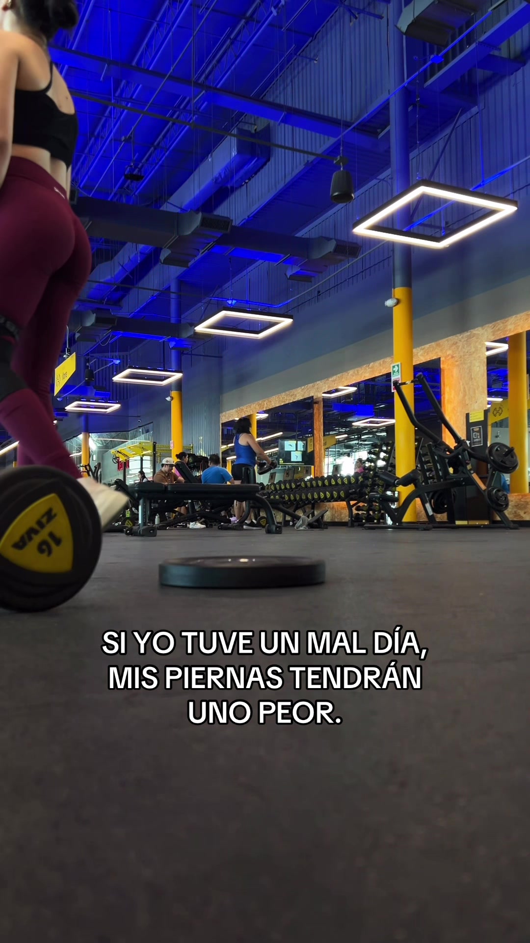 @Nayeli Torres