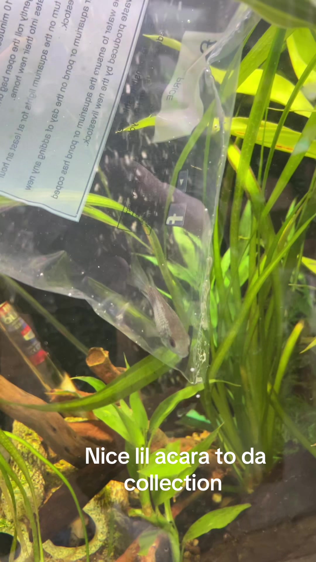 @CRBaquatics