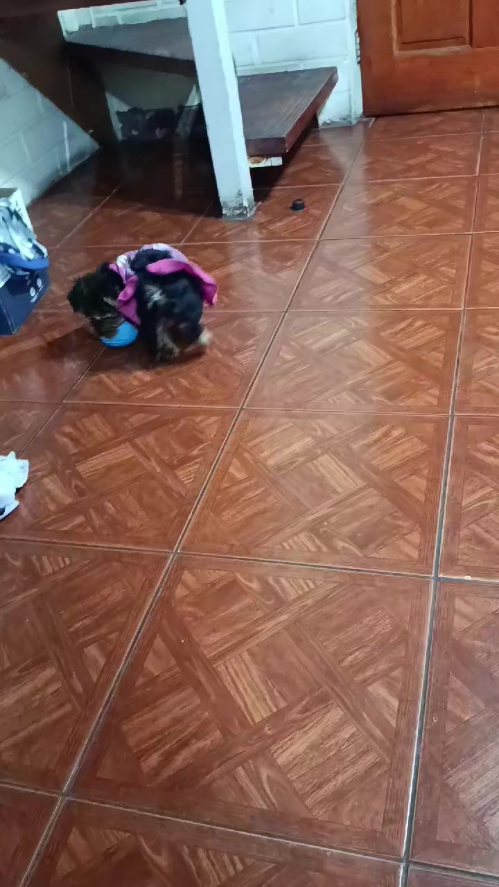 @Seto02