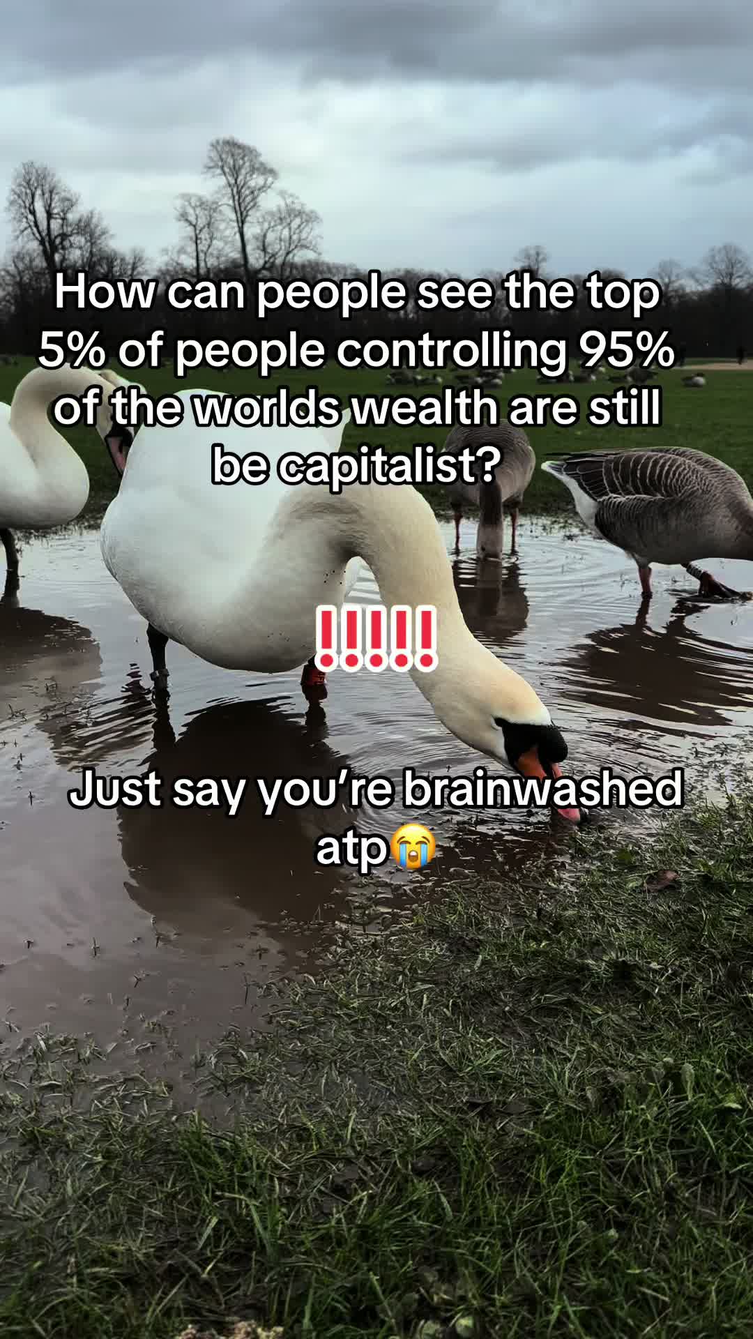 @TruthSeeker