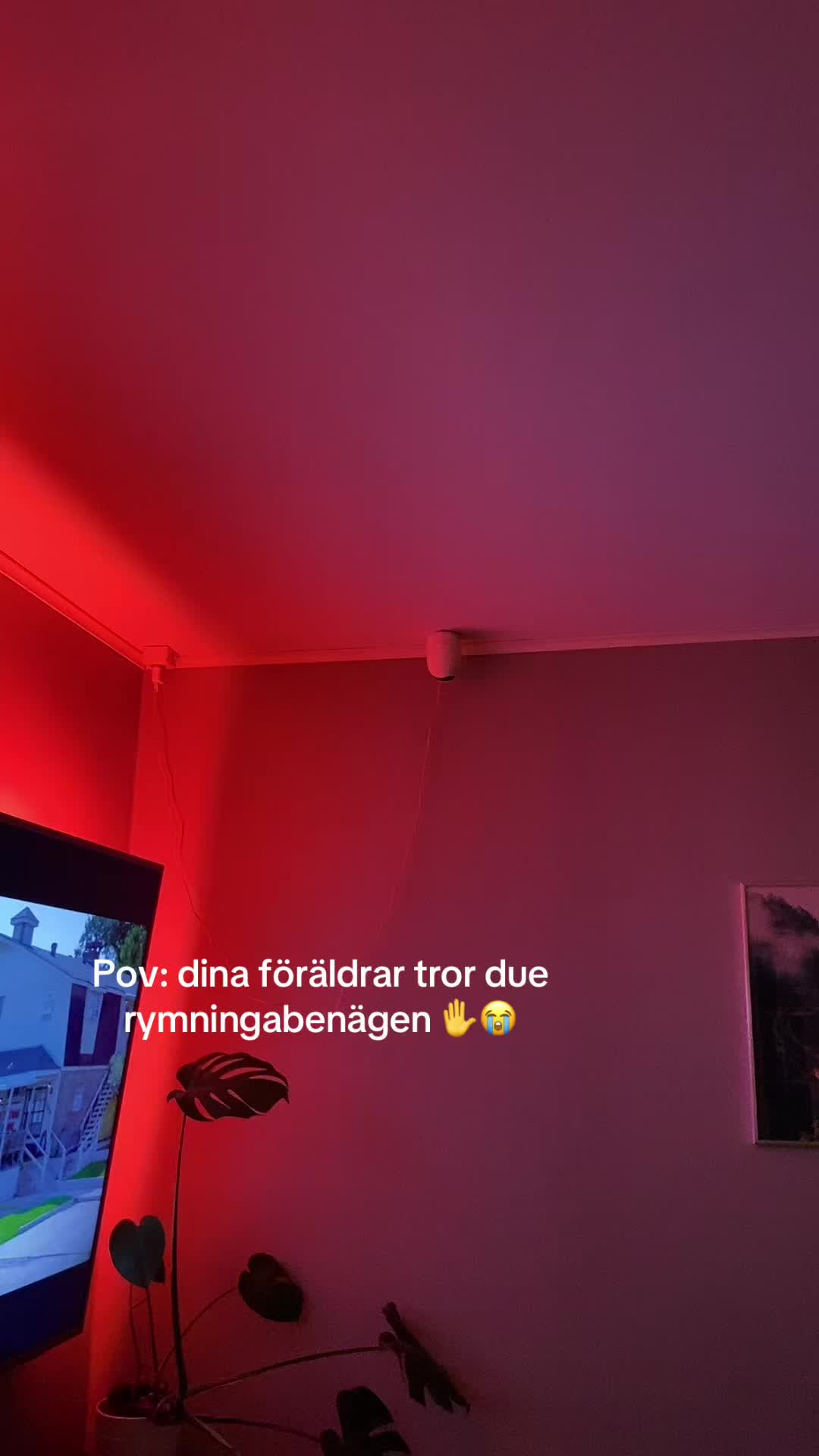 @Elsa 🎀