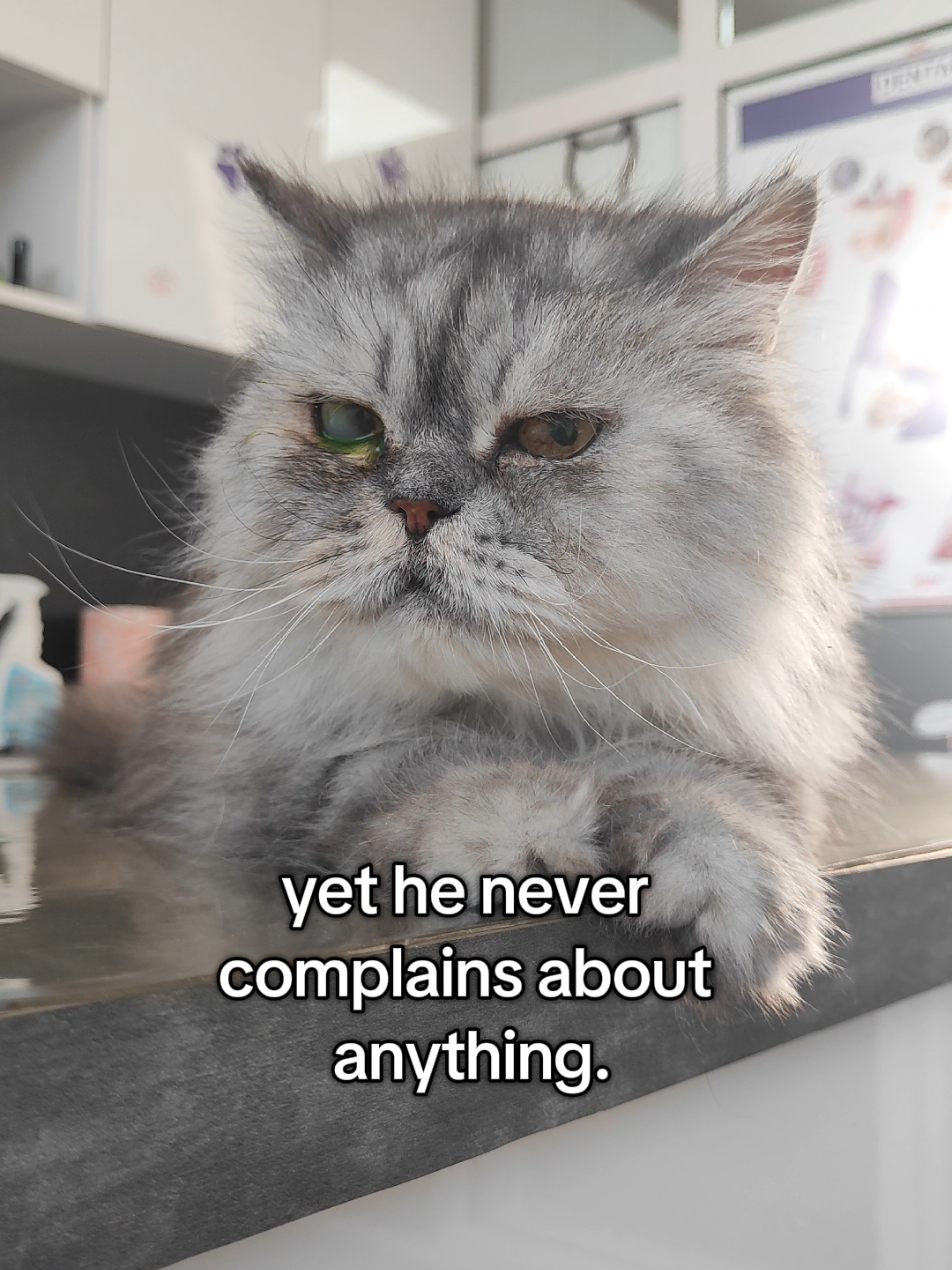 @Fluffy and Pixie