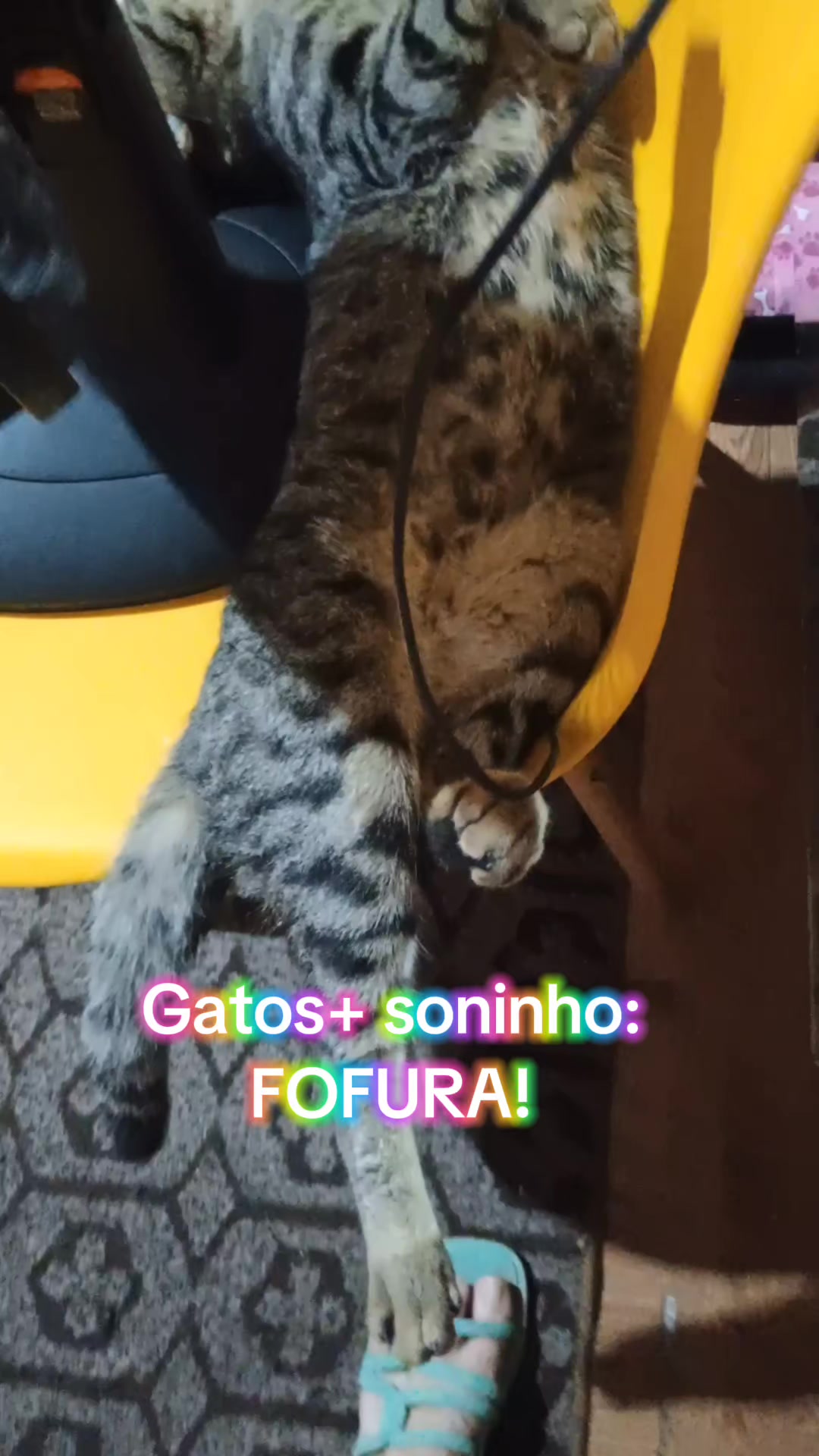 @Amordequatropatas