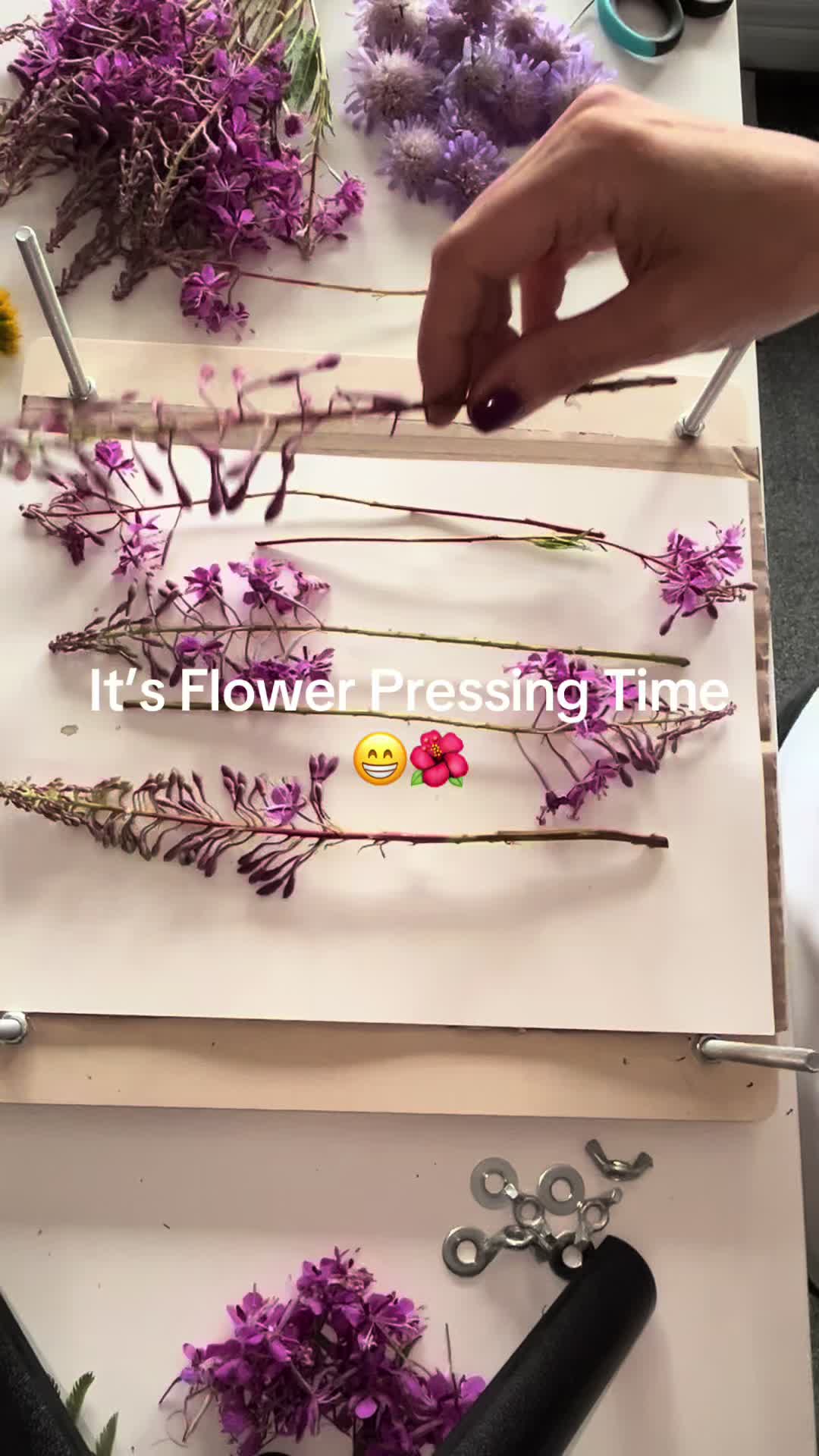 @Nature Designs 2026