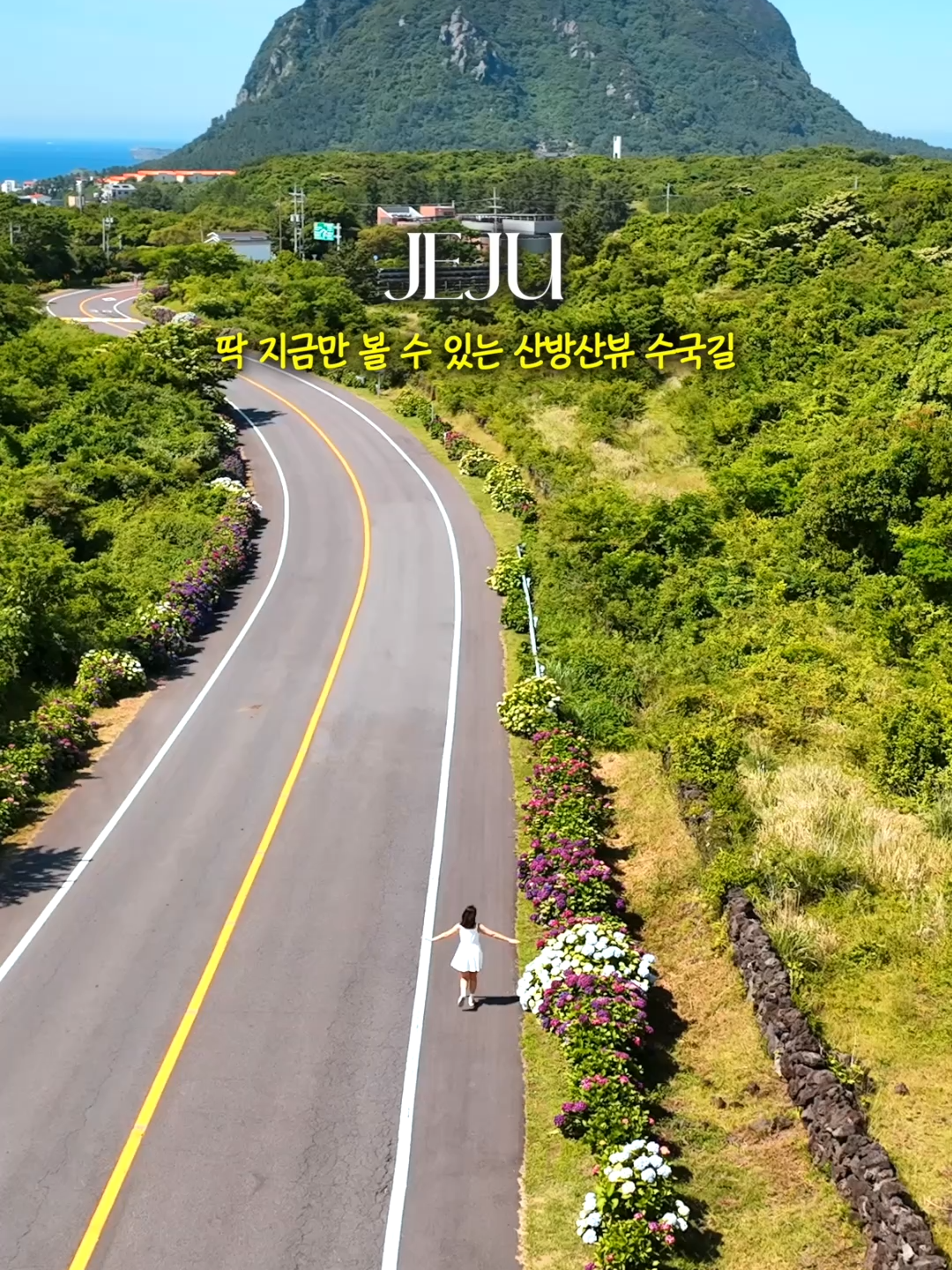 @제주도