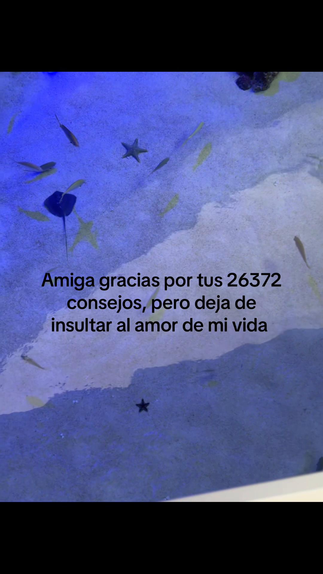 @compartidos2586