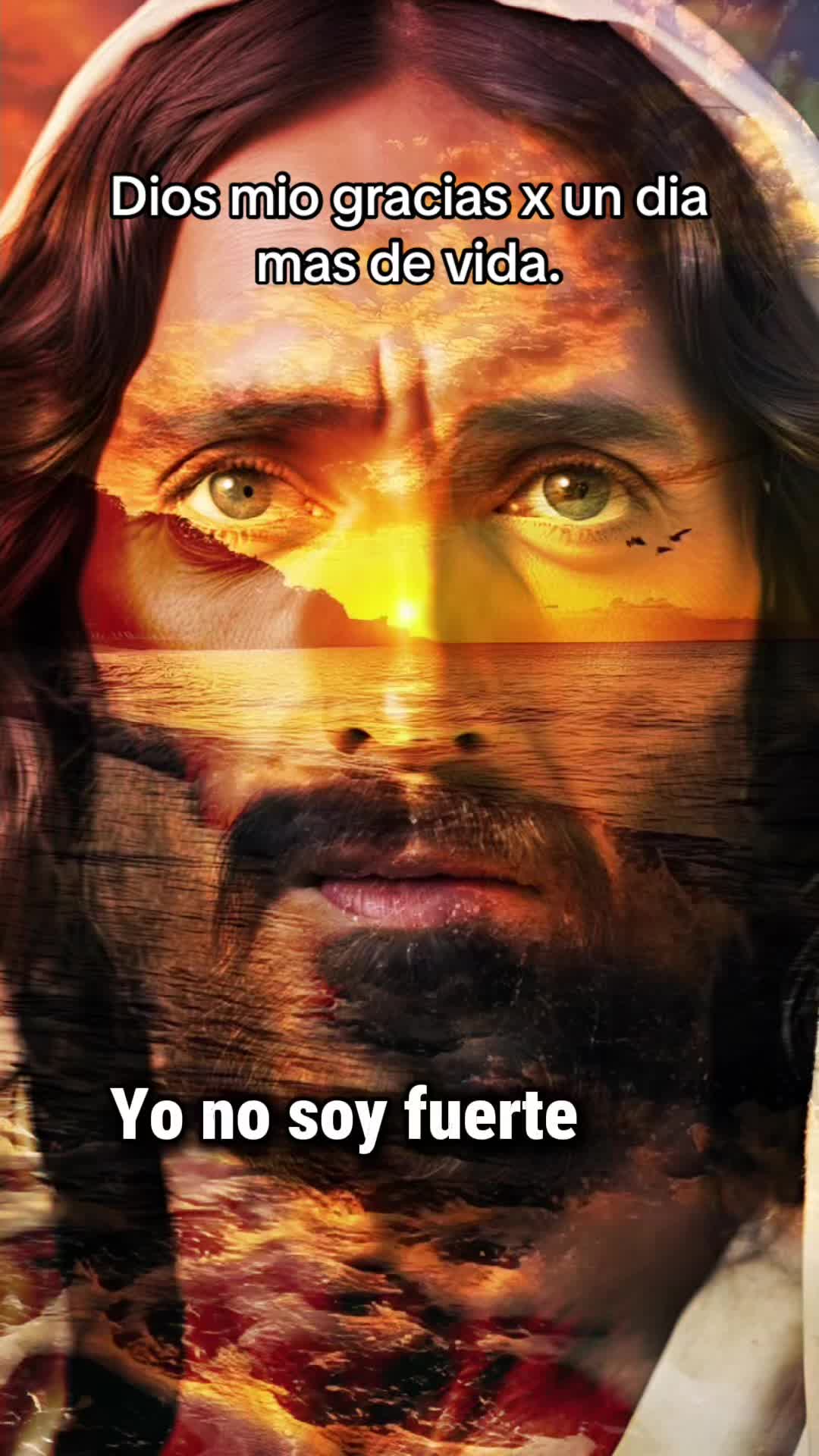 @Sabidur&iacute;a de Dios para ti.
