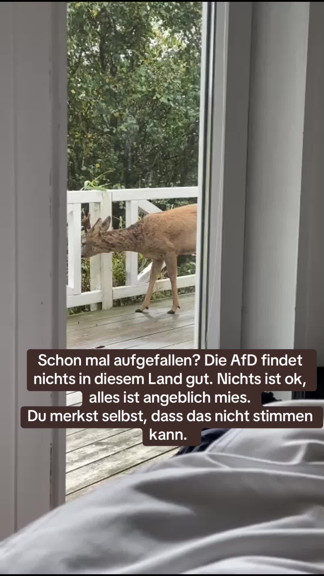 @Contra.AfD