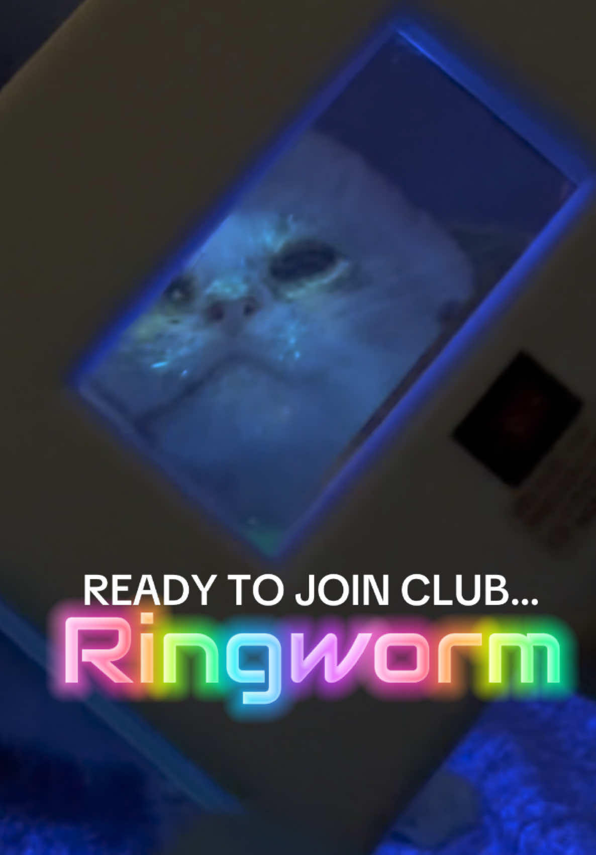 @PAWS
